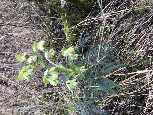 Tour de Courcourt [12-02-2022](IMG_4303).jpg